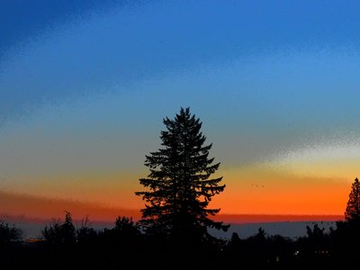 Evening sky in the Fraser valley