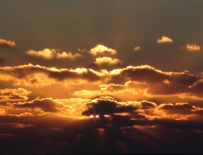 Every Morning We Will Rise