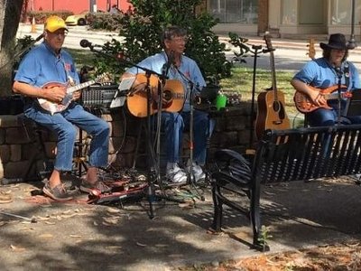 Blueberry Festival