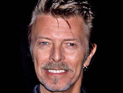 David Bowie. Rebel Rebel. Revolutionaries on the 8 dynamics of life.