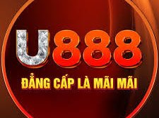 U888 photo