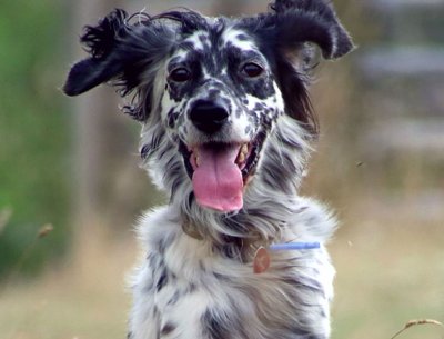 Jack