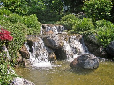 Japanese garden in Vienna/Austria