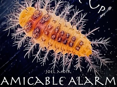 Amicable Alarm artwork