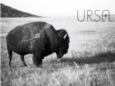 Ursa photo