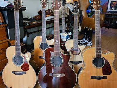 'A gathering of wood and steel' my new lineup.