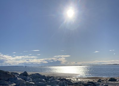 Mud Bay 