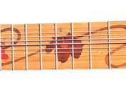 Michael Kollwitz - Solo Chapman Stick® photo
