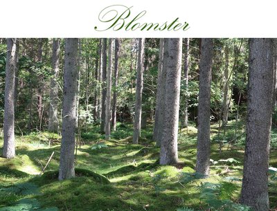 Blomster by Per Bronco Karlsson