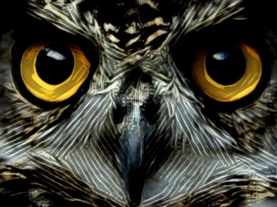 Owl 2