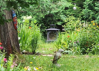 Voodoo Garden photo