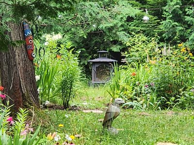Voodoo Garden photo