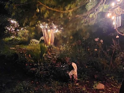 Voodoo Garden photo