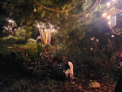 Voodoo Garden photo