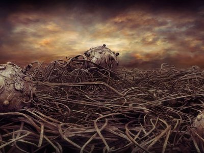 The Machine Waste Land