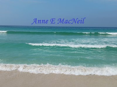 Anne E MacNeil photo