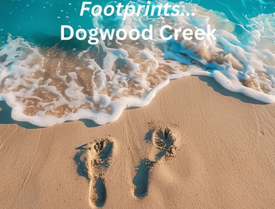 Footprints cd