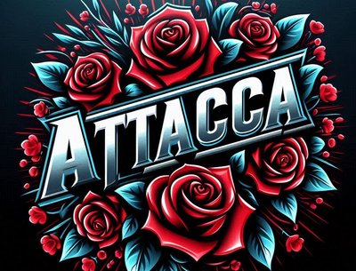 Attacca photo