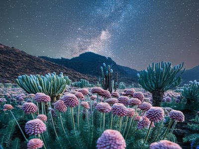 James Creel photo