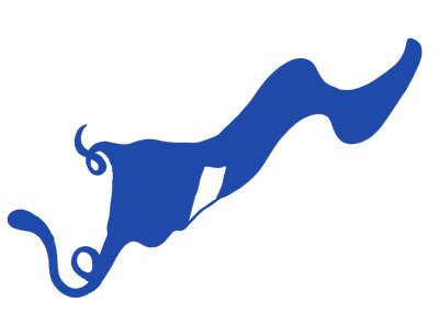 Flag Of Mine photo