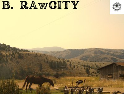 B. RAwCITY photo