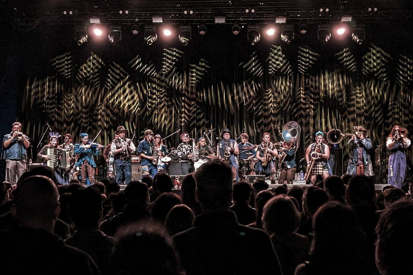 Photo by Jay Altair Roadrunner Nov 2, 2024