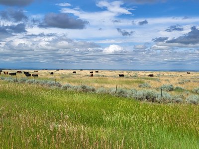 I love Montana! ... Listen to my "Montana Love Song" here: https://youtu.be/fewdaEeHnjM