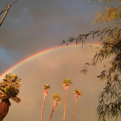 birthday rainbow