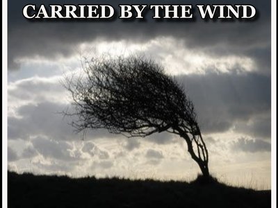 CARRIEDBTWIND