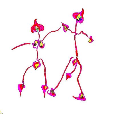 Mushwoman and man, lanceata