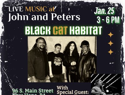 Black Cat Habitat photo