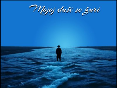 mojojdusi