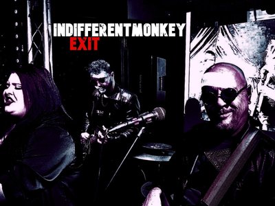indifferentMonKeY photo