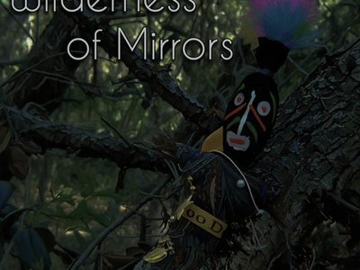 Wilderness of Mirrors (tack #11 on Hit List)