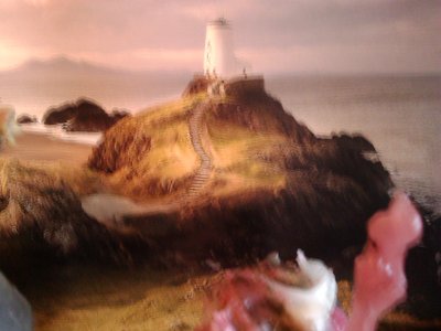 Brendan Hickey photo