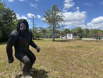 Myakka Skunk Apes photo