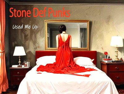 Used Me Up by Stone Def Punks