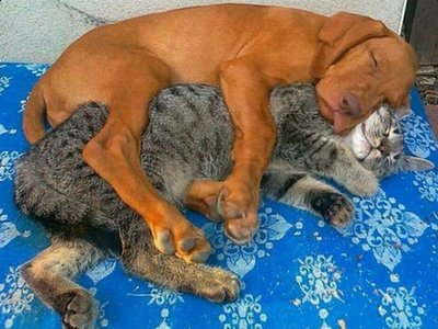 Best friends