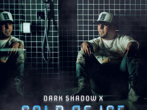 Dark Shadow X | ReverbNation