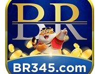 BR345 photo