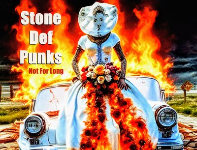 Not For Long by Stone Def Punks