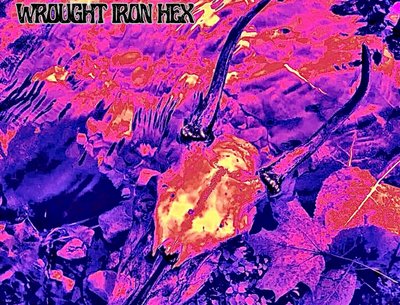 Our latest EP  "Hexes & Halos" is out now!  https://wroughtironhex.bandcamp.com/album/hexes-halos