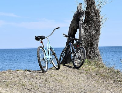 Beach Bikes (photo credit Therese Nielsen)