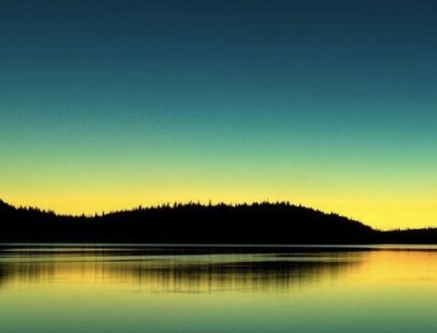 Tony Cardo photo