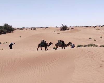 Sahara walk
