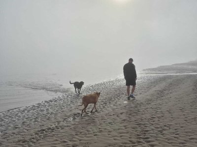 Out Of The Fog & Into The Sun