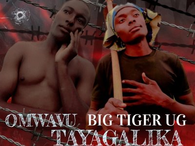 Big tiger ug photo