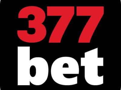 377bet photo