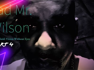 Bad Mr Wilson™ photo