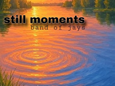 Band of Jays photo